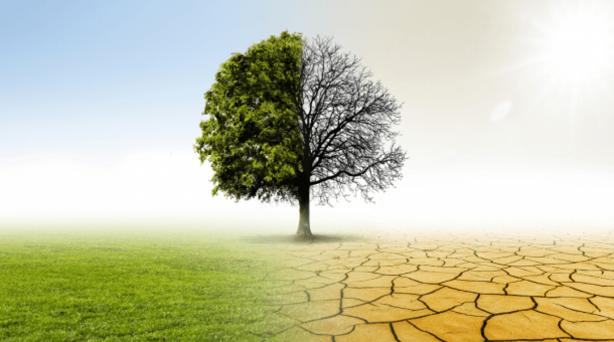 Climat 