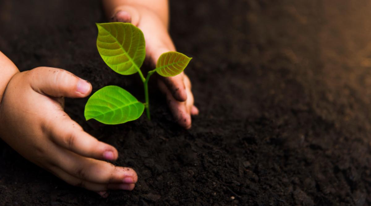 économie sociale et solidaire