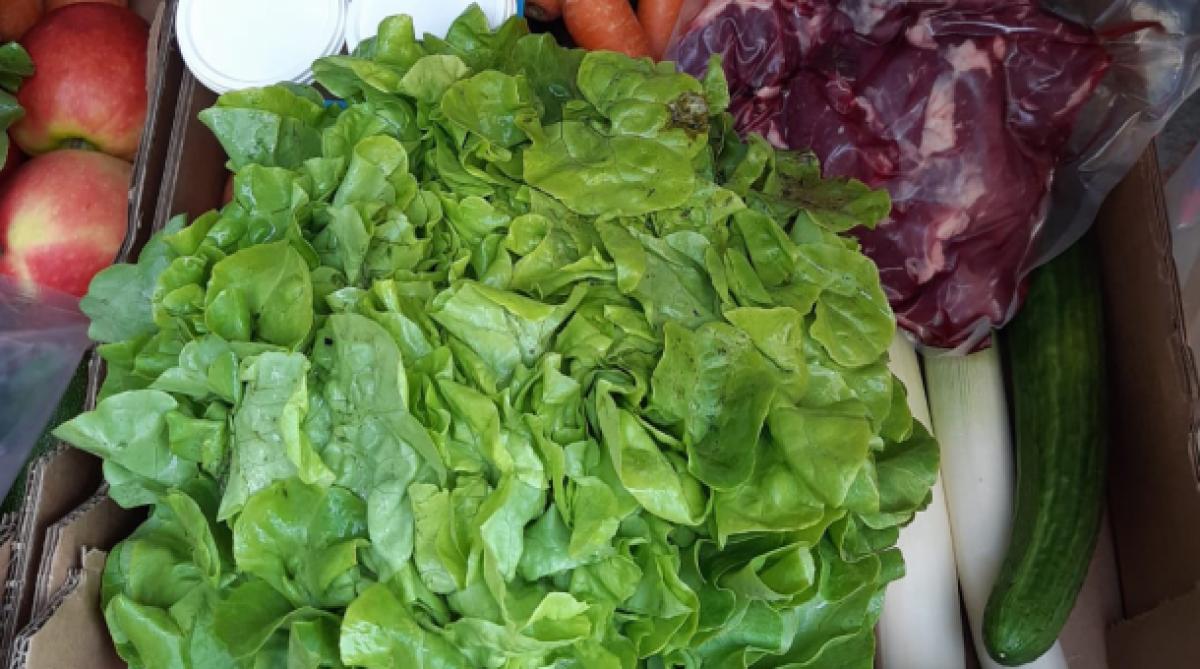 légumes, Département Gironde